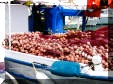 Fishing boat